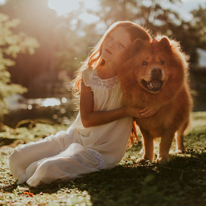 Dogs as Man’s Best Friend ... Truth or Tagline?